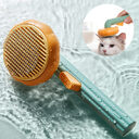 New Pet Cat Brush Hand-held Steel Wire Self-cleaning