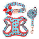 Dog Leash Small Teddy Corgi Supplies Collar
