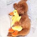 Dog Plush Toy Pet Vocal Huayuan