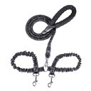 Dogs With One Tow Two Leashes Pets Double