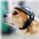 Pet Helmet New Motorcycle Dog Cat Accessories