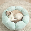 Autumn Winter Plus Velvet Thick Round Flower Cat