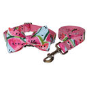 Pet Supplies Dog Collar Leash