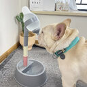 Automatic Pet Water Dispenser Stand Feeder Bowl Adjusting
