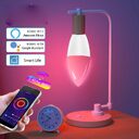 Smart WifI Led Lamp E14 RGB CW WW