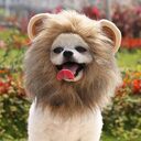Christmas Funny Hat Cap Pet Dress Simulation Toy