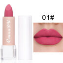CmaaDu15 Color Matte Moisturizing Lipstick Waterproof Lip Gloss