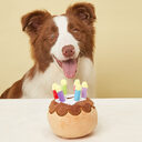 Pet Plush Toy Birthday Candle Cake