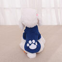 Clothing Pet Two-legged Sweater Teddy