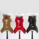 Pet Clothes Teddy Dog