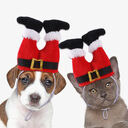 Dog Cat Christmas Costume Hat For Pet Outfit