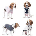 Pet Clothing Dog Vest Two-legged