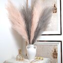 Window Decoration Long 110 Cm Pampas Natural Simulation