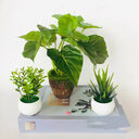 Artificial Green Plants Potted Flowers Small Ornaments
