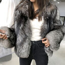 Women's Fur Coat Short Fashion Imitation Fox Autumn