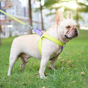 Color Pet Drawstring Leash Vest-style Dog