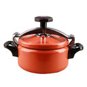 Mini Pressure Cooker Small Dishes