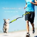 Pet Products Traction Rope Multifunctional