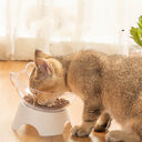 Cat Bowl Dog Single Non-slip Oblique Mouth
