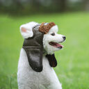 Pet Supplies Autumn Winter New Dog