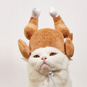 Plush Roasted Turkey Hats Spooktacular Creations Decor Hat