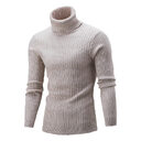 Sweater Twist Knit Slim-fit High Neck