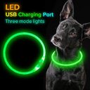 Pet Flashing Collar USB Rechargeable Glowing Necklace Safety