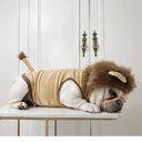 Dog Lion Clothes Pet Supplies Halloween Cat