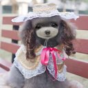 Christmas Pet Clothes Funny Clothing Apparel