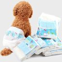 Diapers Pet Menstrual Pants Bitches