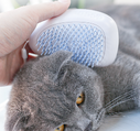 Brush Cat Hair White Pet