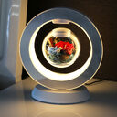 Magnetic Levitation Immortal Flowers For Girlfriend On Chinese