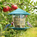 Outdoor Garden Hanging Metal Bird Feeder
