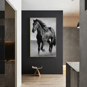 Art Canvas Animal Dark Horse Wall Living Room