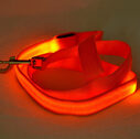 Glowing Pet Leash Dog LED