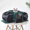 Pets Go Out Backpack Portable Space Capsule Large