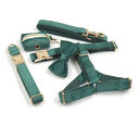Green Velvet Dog Collar Leash Pet