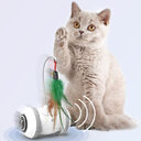 Interactive Cat Toy With Interchangeable Heads Pet Feather