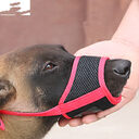 Mouth Cover To Prevent Eating Indiscriminately Large Labrador
