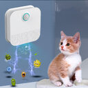 Pet Deodorizer Cat Litter To Remove Urine Odor
