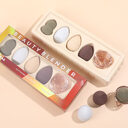 Wet And Dry Beauty Makeup Egg With Metal