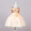 Baby Sequin Dress Flower Girl Wedding Princess