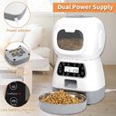 Smart APP Pet Feeder Cat And Dog Food