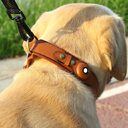 Location Tracker First Layer Leather Dog Pet Collar