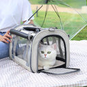 Outdoor Portable Pet Bag Transparent Breathable Foldable