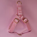 Flannel Dog Harness Pet Supplies Chest