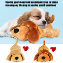 Fashion Pet Comfort Toys