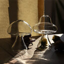 Cute Mushroom Shaped Glass Vase Hydroponic Plant Flower