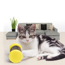 Pet Toy Magic Organ Corrugated Paper Wheel Cat