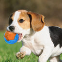 Dog Toy Ball Audible Glow Can Float Grinding